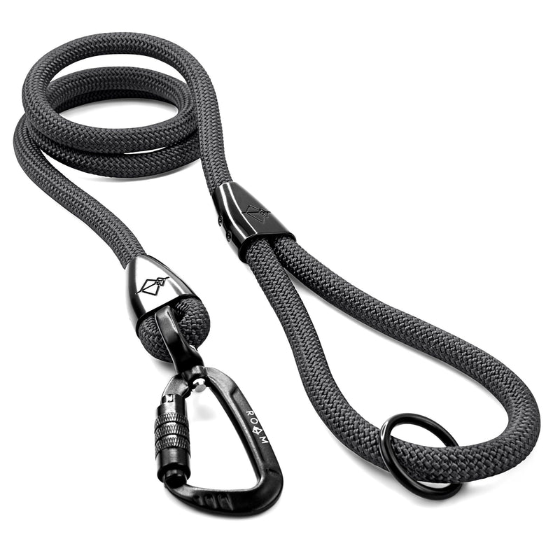 MADE TO ROAM Premium Explorer Leash - Climbing Rope Leash with Autolocking Aviation Aluminum Carabiner - New York Afterlight, 6ft 6 Feet
