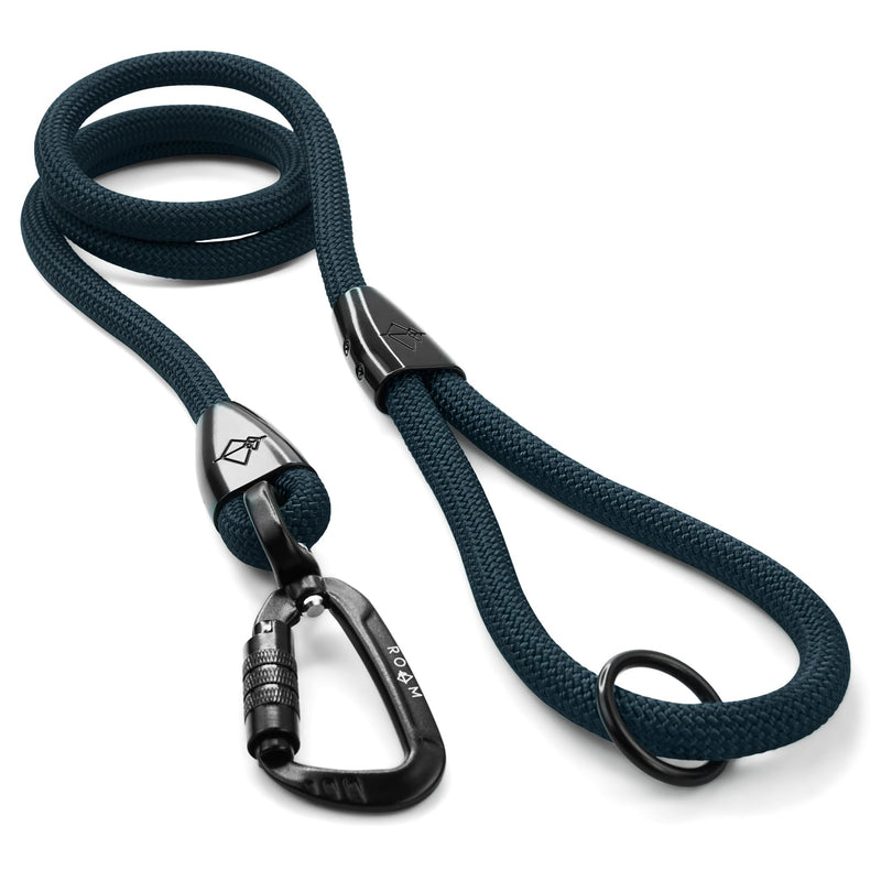 Premium Explorer Leash - Climbing Rope Leash with Autolocking Aviation Aluminum Carabiner - Colorado Nightsky, 6ft 6 Feet - PawsPlanet Australia