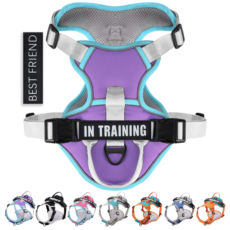 No Pull Dog Harness, Reflective Dog Vest Harness with Front & Back 2 Leash Clips, Oxford Pet Harness Adjustable Soft Padded Dog Vest with Easy Control Handle for Small Medium Large Dogs Small (Pack of 1) Purple - PawsPlanet Australia
