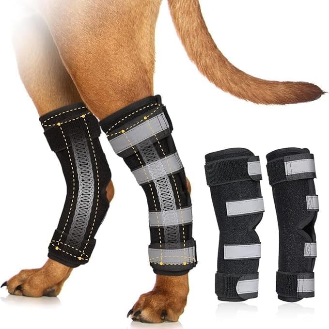 Dog Leg Braces for Rear Legs, Hock Brace for Back Legs with Metal Strips and Safety Reflective Straps for Short Legs, Joint Warps Support for Hind Legs Injuries Sprains Arthritis (Small(1Pair)) Small(1Pair) - PawsPlanet Australia