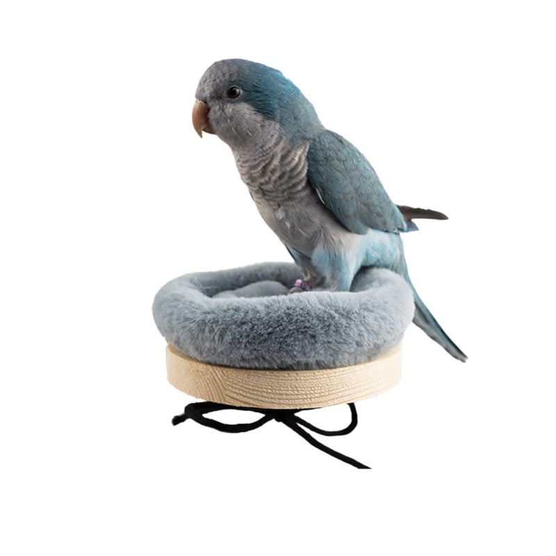 Bird Perch Stand Platform with Warm Cotton Cushion, Wood Parrot Perch for Pet Parrot, Budgies, Parakeet, Cockatiels, Conure, Lovebirds, Rat, Mouse Cage (Small, Grey) - PawsPlanet Australia