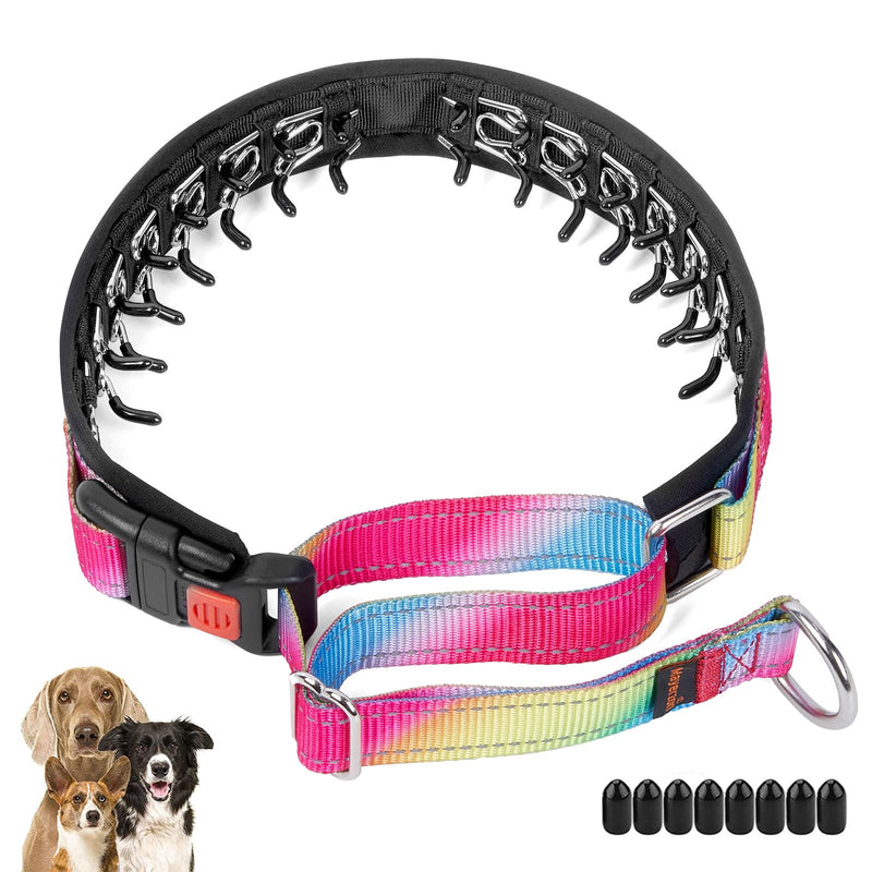 Mayerzon Martingale Prong Collar for Dogs, Patented No Pull Pinch Collar with American Flag and Buckle for Small Medium Large Dogs Training Walking Hunting, Adjustable and Heavy Duty(M, Rainbow) Medium,2.5mm,20-Inch,14.5-18.5"Neck - PawsPlanet Australia