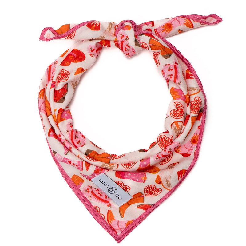 Lucy & Co. Howdy Honey Adjustable Dog Collar- Cute Designer Pet Collar for Small, Medium, Large Dogs- Buckle Closure Dog Accessories, Large, Country Print - PawsPlanet Australia