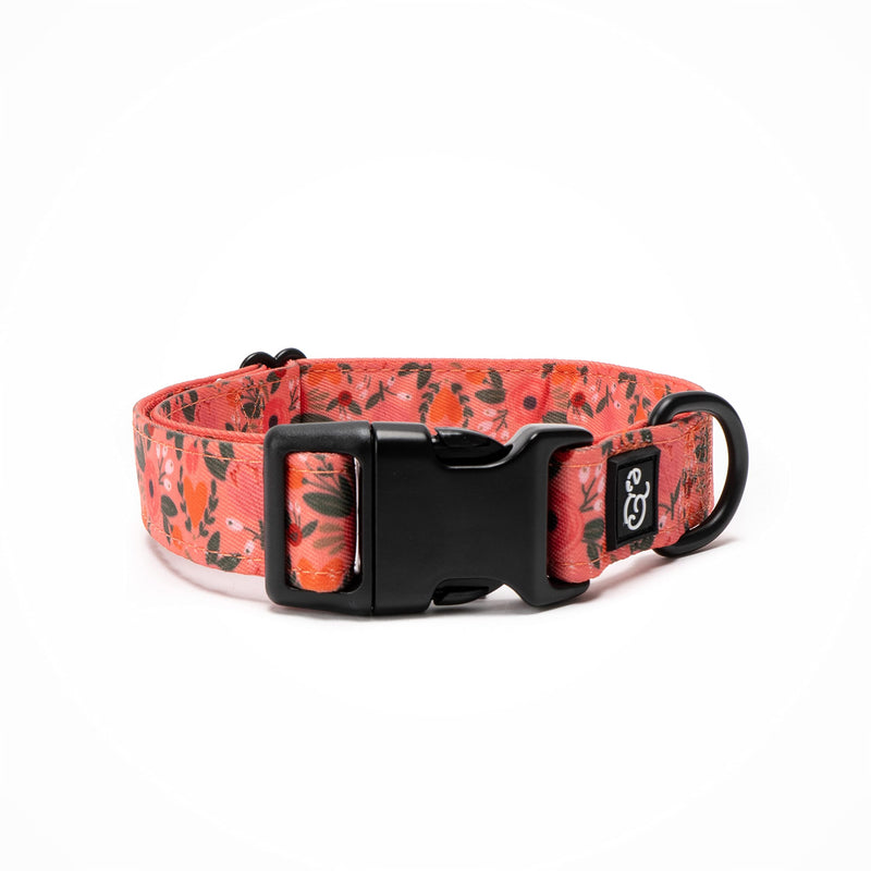 Lucy & Co. Posy Pink Dog Collar - Durable Lightweight Designer Collar for Pets - Adjustable Metal Safety Buckle - Coral Pink Floral - Medium - PawsPlanet Australia