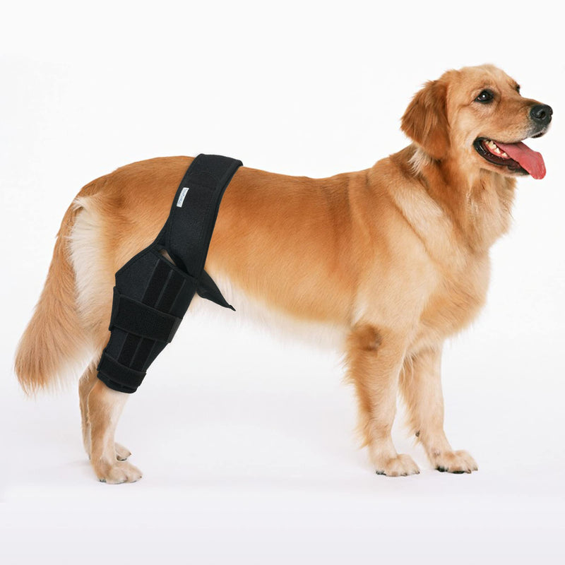 Dog Knee Brace for Dog ACL Brace Hind Leg or Rear Leg, CCL Brace Hind Leg (Size: S) - PawsPlanet Australia