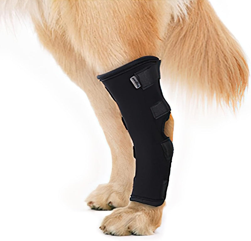 JOCUND Dog Front Leg Brace, Pair of Dog Leg Brace with Metal Strips, Canine Front Leg Hock Wrap Sleeve for Carpal Support, Protects Wounds Brace Heals and Prevents Injuries and Sprains (L/XL) L/XL - PawsPlanet Australia