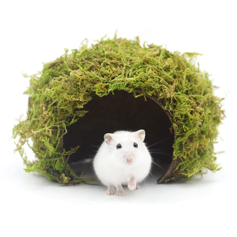 Hamster Hideaway,Mossy Cave Hide,Hamster House/Hides,Hamster Cage Accessories for Gguinea Pig/Hedgehogs/Gliders/Rats/Mice and Other Small Animals (Large) Large - PawsPlanet Australia