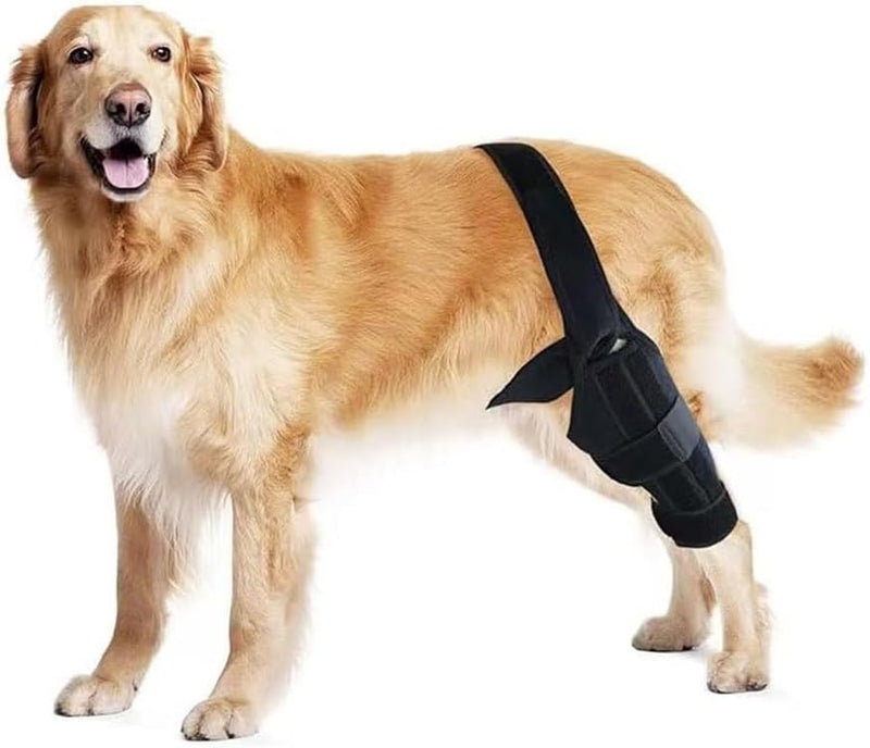 Labra Dog Canine Knee Stifle Brace Wrap, Metal Splint Hinged Flexible Support Brace for K9 ACL, CCL, Luxating Patella, Cruciate Ligament Sprains in Back, Rear, Hind Leg (Large - 50-75lbs) Large - PawsPlanet Australia