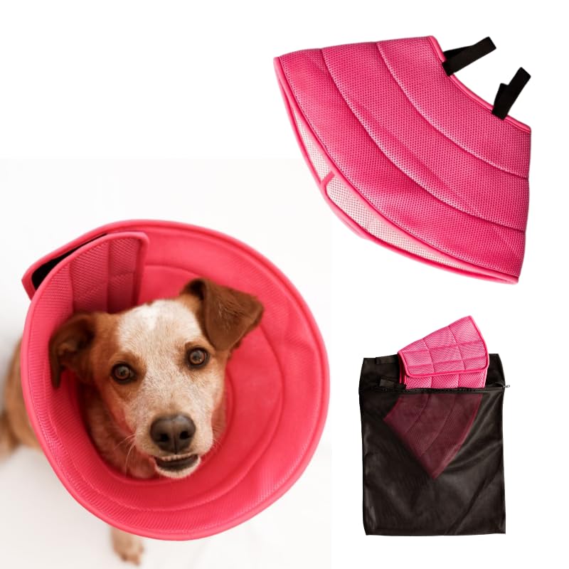 Extra Large Pet Recovery Collars Extra Large Pink - PawsPlanet Australia