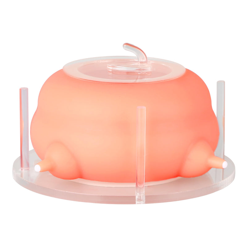 Puppy Feeder for Multiple Puppies, Pet Milk Feeder with Silicone Dog Nursing Station of 4, Puppy Milk Replacer for Puppies/Kittens - PawsPlanet Australia