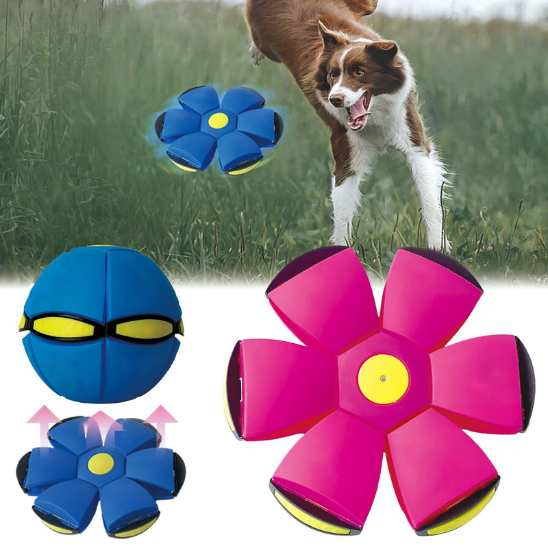 FlidRunest 2PCS Pet Toy Flying Saucer Ball, Flying Saucer Ball Dog Toy with 3 Light for Interactive Dog,Cats, Children's Foot Ball,Outdoor Games,Camping Games - PawsPlanet Australia