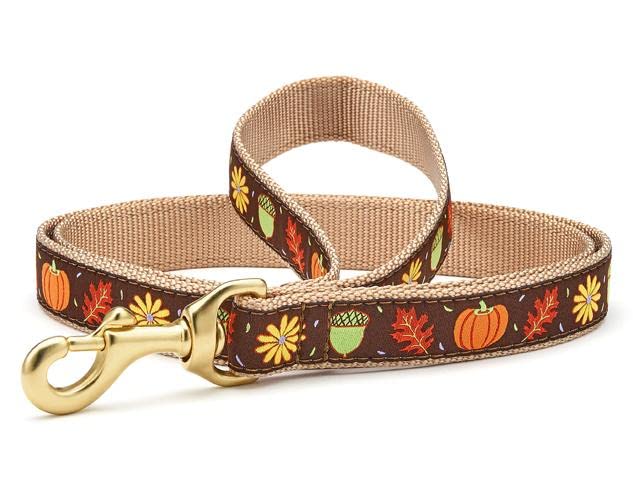 Leash | Harvest Time 5' Wide (1" width) - PawsPlanet Australia