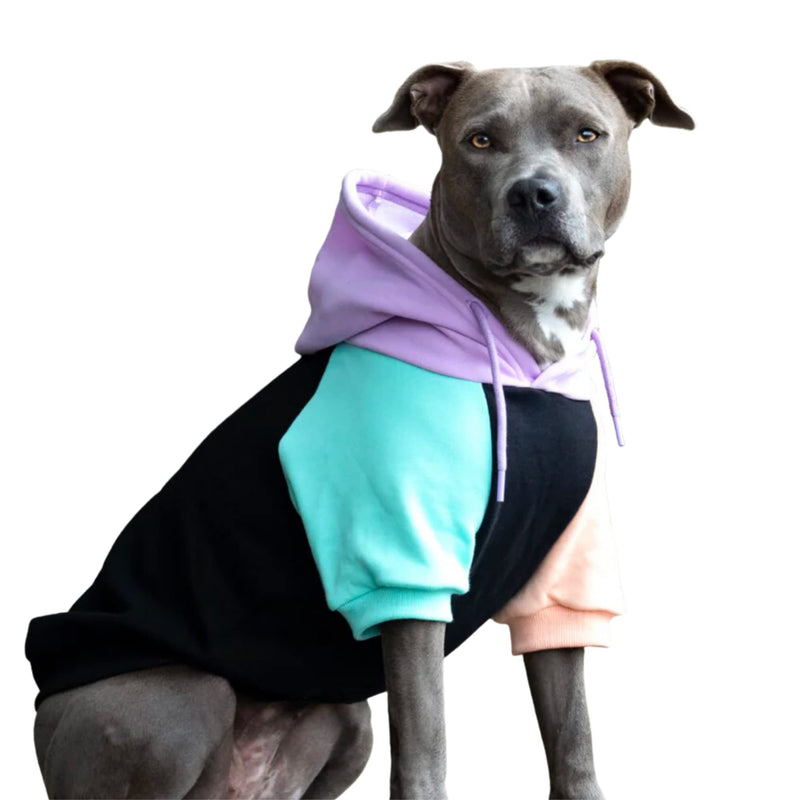 Spark Paws Dog Hoodie - Premium Quality, Buttery Soft, Superior Comfort and Fit, Calming Fleece Interior, Suitable for all breeds - Cyber Punk - XL X-Large - PawsPlanet Australia