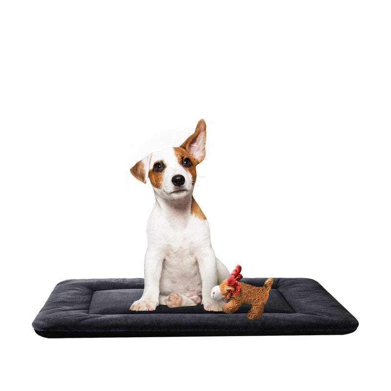 Dog Beds Crate Pad for Medium Dogs Fit Dog Crates,Washable & Anti-Slip Kennel Pad for Dogs Cozy Sleeping Mat,Dark Gray 30inch 30.0"L x 19.0"W x 1.0"Th dark gray - PawsPlanet Australia