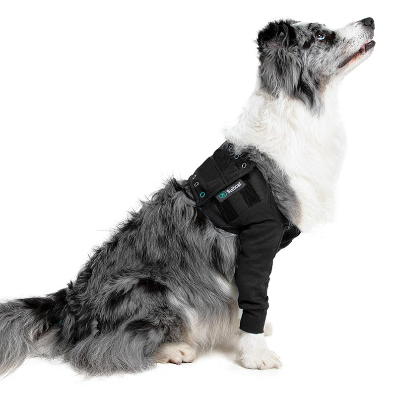 Suitical Recovery Sleeve for Dogs | Double Sleeve Front Leg Protection After Surgery | Dog Sleeve to Stop Licking | Chest Circumference 21.3”- 26.8” | Sleeve Length 10.2” | M | Double Sleeve - PawsPlanet Australia