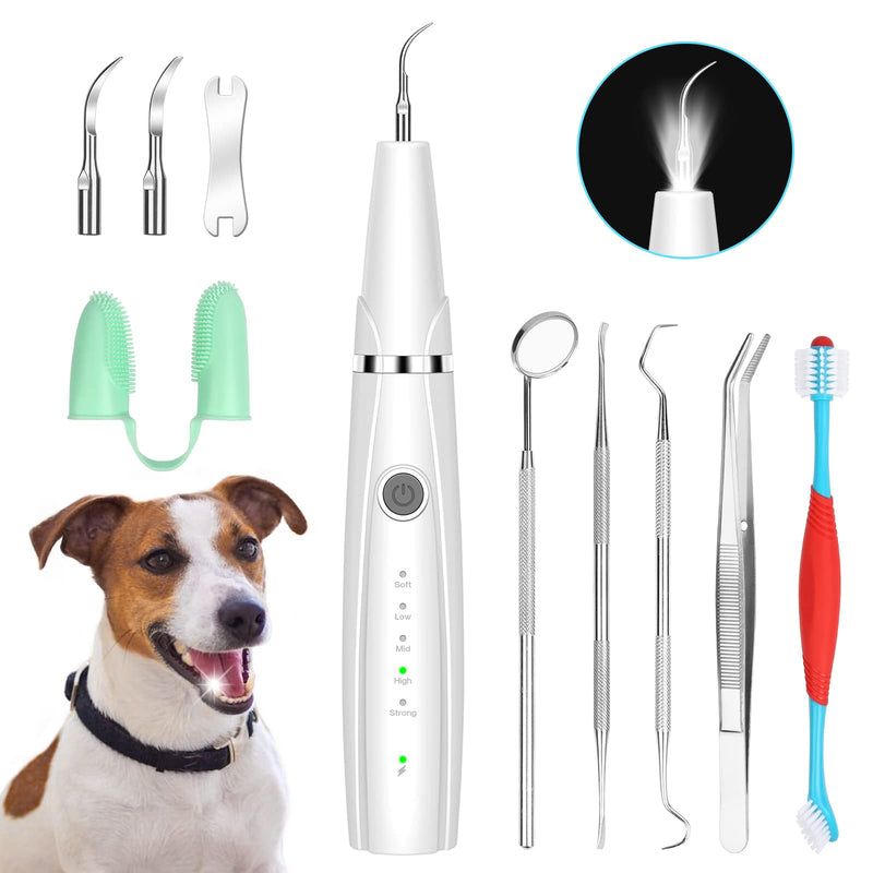 Dog Teeth Cleaning Kit for Pet Teeth Cleaning, Dog Plaque Remover for Teeth, 5 Modes Dog Tartar Remover for Teeth Care to Remove Stains Calculus, 10 in 1 Pet Cleaner Toothbrush (White) White - PawsPlanet Australia