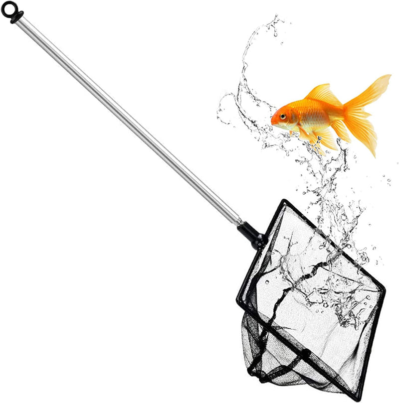Fish Net for Fish Tank, Fine Mesh Aqurium Net with 9-24 Inch Stainless Steel Long Handle, Extendable Fishing Tank Net for Fish Shrimp Tank, Pond, Creek (4 inch) 4 inch - PawsPlanet Australia