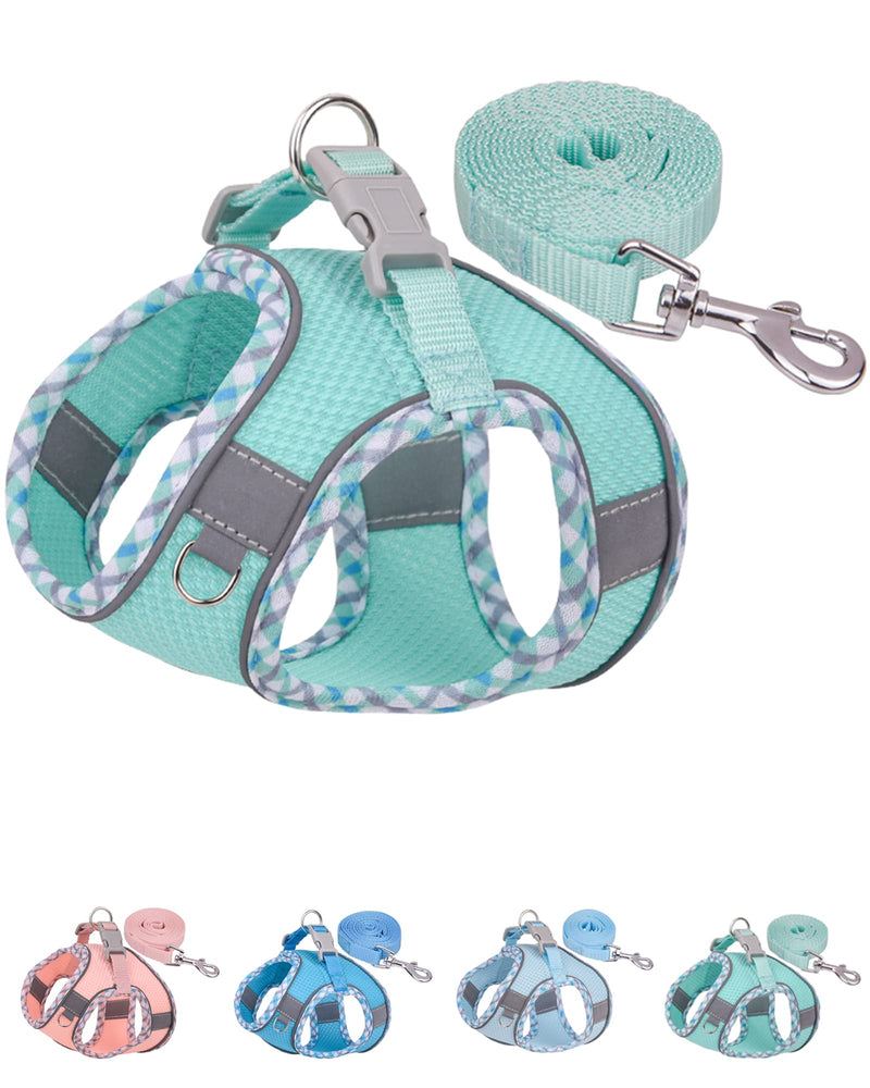 Petank Dog Harness for Small Medium Dogs No Pull, Puppy Harness and Leash Set, Step in Dog Harness for Walking, Running, Training, Small Dog Vest(Green, S) Green - PawsPlanet Australia