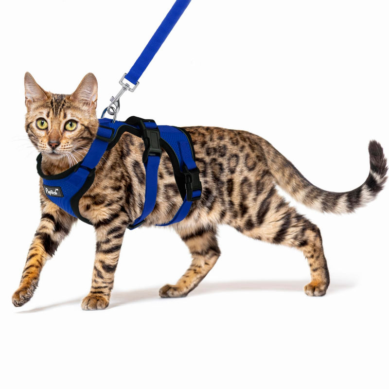 PUPTECK Cat Harness and Leash Set Escape Proof for Walking, Breathable Mash Vest Adjustable Harness for Cats Puppy Small Animals, Reflective at Night, Blue Medium M: Neck 11.4"-15.3", Chest 12.8"-20" - PawsPlanet Australia