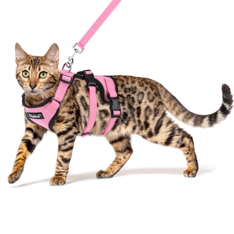 PUPTECK Cat Harness and Leash Set Escape Proof for Walking, Breathable Mash Vest Adjustable Harness for Cats Puppy Small Animals, Reflective at Night, Pink Medium M: Neck 11.4"-15.3", Chest 12.8"-20" - PawsPlanet Australia