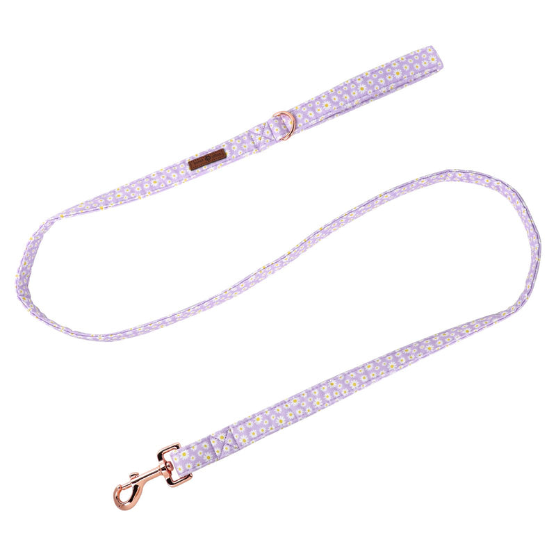 Lionet Paws Spring Daisy Dog Leash Matching Dogs Collar for Small Medium Large Dog S - PawsPlanet Australia