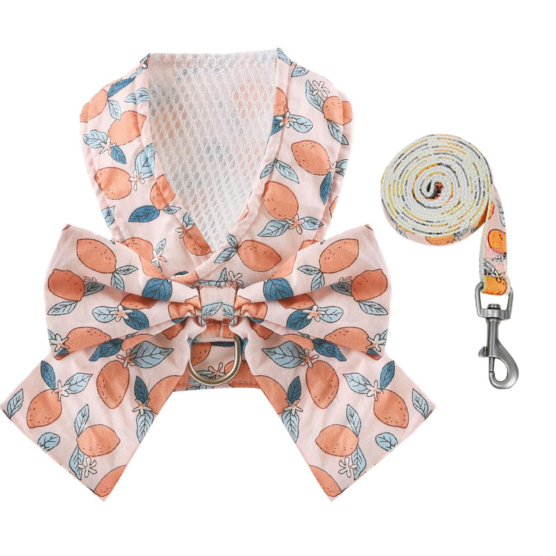 BAEJMJK Dog Harness and Leash Set with Bow Knot No Pull Pet Floral Harness with D-Ring Soft Mesh Dog Harness Vest Set Escape Proof Princess Puppy Harness for Small Girl Dogs Cats（Orange M） Medium Orange - PawsPlanet Australia