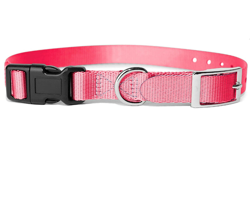 e-Collar Replacement Strap - Shock & Fence Collar Replacement, Compatible with Most Brands (3/4", Pink) 3/4" - PawsPlanet Australia