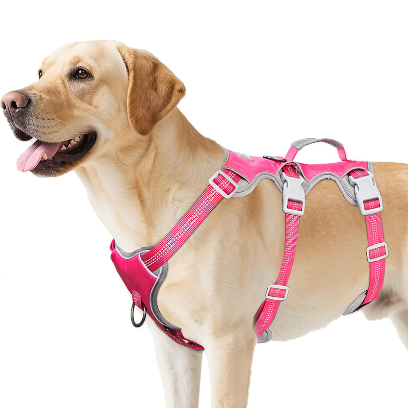 Huntboo Escape Proof Harness, No Slip Dog Harness Escape Proof, Reflective Harness with Handle, Breathable, Durable, Adjustable Vest for Large Dogs Walking, Training, and Running Gear (Rose red, L) Large(Pack of 1) Rose red - PawsPlanet Australia