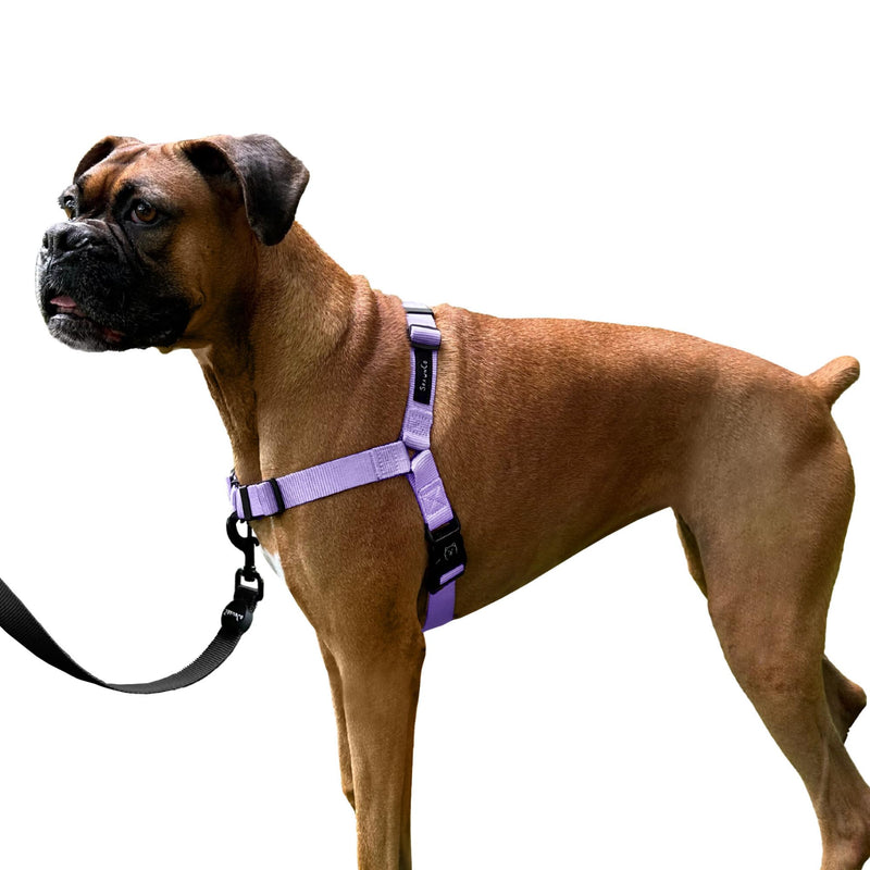 ShawnCo Dream Walk No-Pull Dog Harness- Adjustable, Comfortable, Easy to Use Pet Halter to Help Stop Pulling for Small, Medium and Large Dogs (Icy Lilac, M) Icy Lilac - PawsPlanet Australia