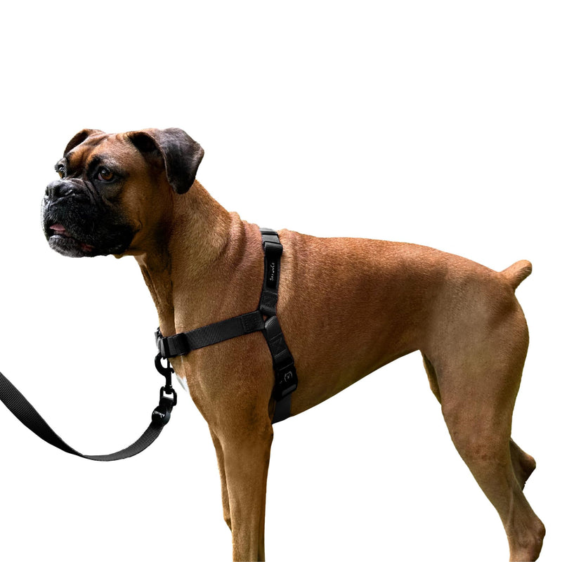 ShawnCo Dream Walk No-Pull Dog Harness- Adjustable, Comfortable, Easy to Use Pet Halter to Help Stop Pulling for Small, Medium and Large Dogs (Midnight, S) Midnight - PawsPlanet Australia
