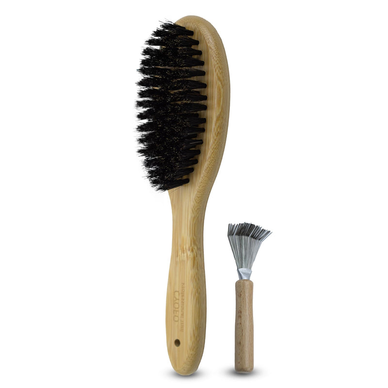Cat & Dog Brush with Boar Bristle, Professional Grade Daily Grooming Hairbrush for Soft Hair and Healthy Shine, Short Haired Dogs Hair Brush for Reducing Shedding with Brush Cleaner - PawsPlanet Australia