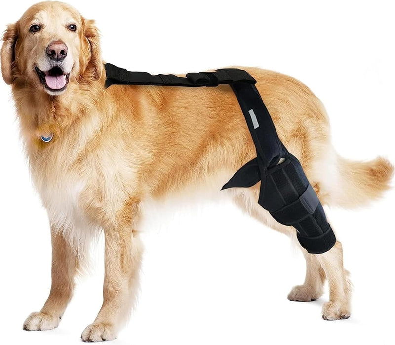 Dog Knee Brace - Knee Cap Dislocation for ACL, CCL, Cruciate Ligament Injury, Joint Pain and Muscle Sore, Adjustable Dog Rear Legs Bracer with Metal Side Stabilizers (Black, Medium-Right) - PawsPlanet Australia