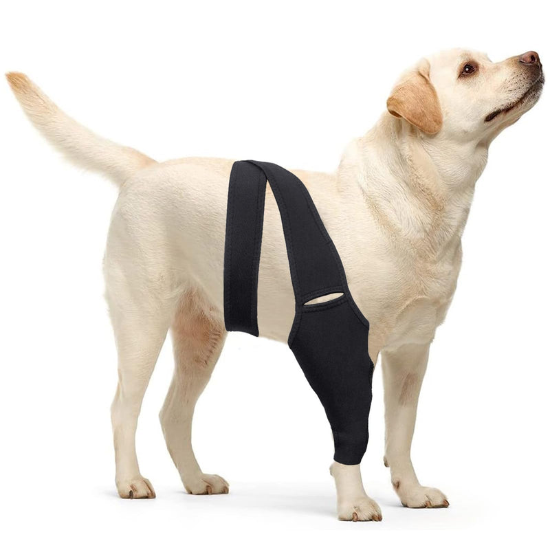 Dog Knee Brace for Torn Hind Leg or Back Leg, Adjustable Dog Leg Brace, Dog Hip Support Brace for Cruciate Ligament Injury Joint Pain Muscle Soreness, Better Recovery Brace Medium - PawsPlanet Australia