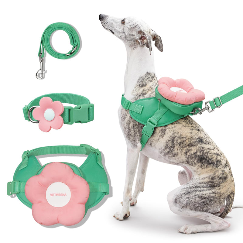 VETRESKA Flora Dog Harness, Leash and Collar Set, No Pull Dog Vest Harness for Walking and Training, Adjustable, Easy Control and Soft Padded Pet Harness and Backpack for Small Medium Large Dogs, M - PawsPlanet Australia