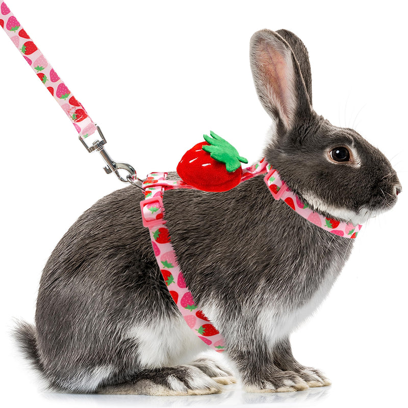 Rabbit Harness and Leash - Adjustable Bunny Harness Escape Proof for Walking Running Hiking Camping Outdoor - Pink Strawberry Pattern Cute Small Animal Harness Leash Set Neck 6.3"-9.8", Chest 7.8"-13.7" - PawsPlanet Australia