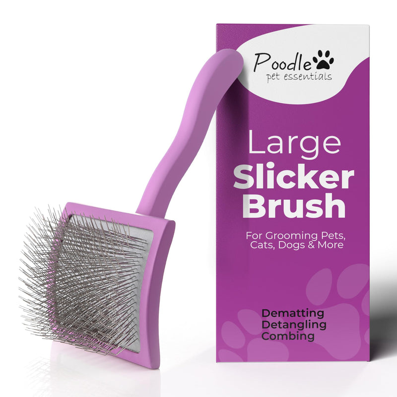 POODLIE Slicker Brush for Dogs - Detangling Dog Brushes for Grooming with Soft Bristles & Long Pins - Professional Cat Deshedding Tool to Removes Tangles & Dirt (Large) Square Large Slicker Brush Purple - PawsPlanet Australia