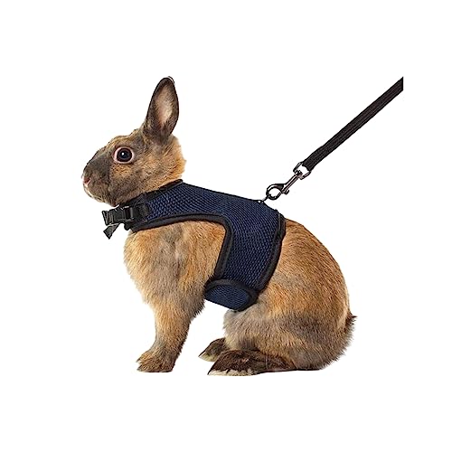 Rabbit Harness and Leash Set - Adjustable Escape-Proof Training and Walking Gear for Guinea Pigs Bunnies Chinchillas Hamsters Ferrets Rats Kittens and Small Dogs Puppies Cats (Black,S) Black S - PawsPlanet Australia