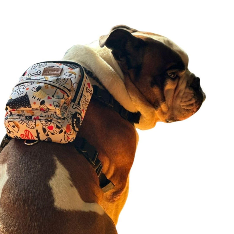 PawLook Dog Backpack to Wear with Chest Harness Self Carrier dogbag with Additional Pocket for Poop Bag Anti Slip Stylish Dog Bag for Your pet Street Smart Serie White Bone Medium WHITEBONE M - PawsPlanet Australia