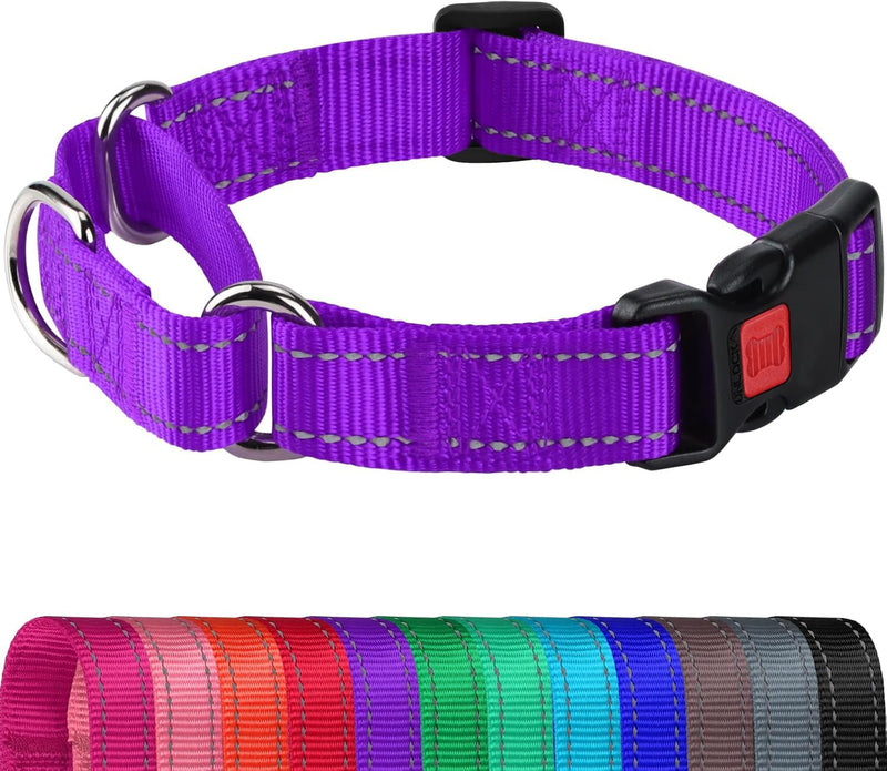Joytale Martingale Collar for Dogs, Reflective Heavy Duty for Safety, Quick Release Buckle, Adjustable Nylon Collars for Medium Dogs Walking Training, Purple,M M - PawsPlanet Australia