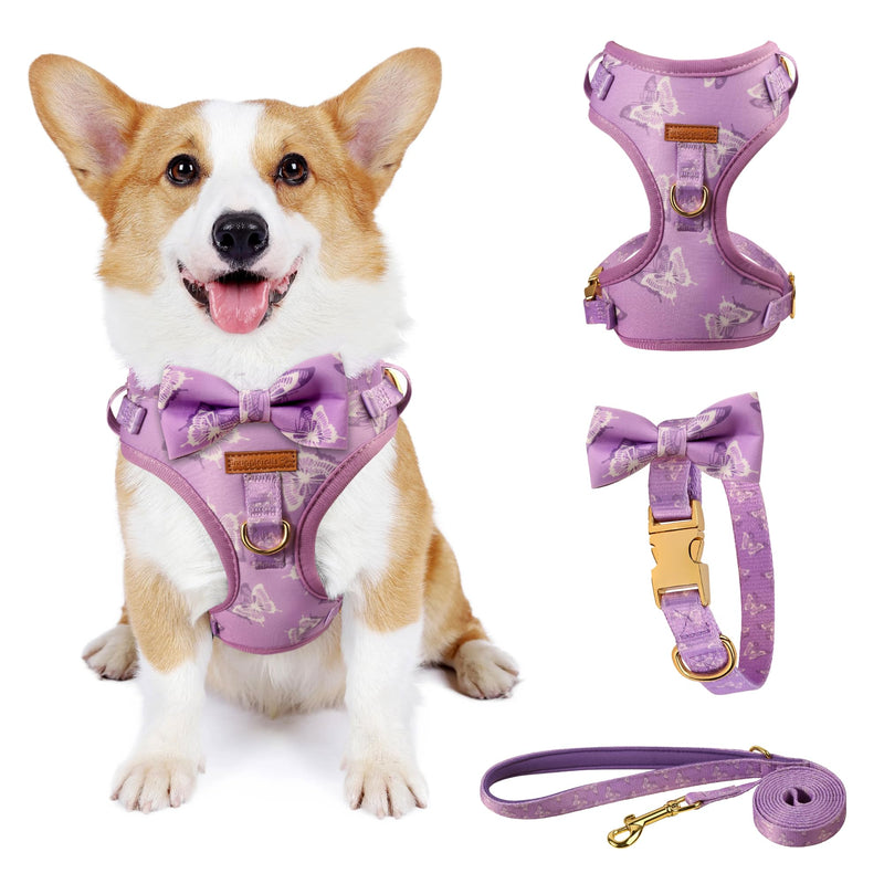 Cute Dog Collar, Harnesses & Leash Set with Gold Colored Metal Components – Breathable and Adjustable Dog Collar and Leash Set with Bowtie - Soft Dog Vest Harness for Puppies Small and Medium Dogs - PawsPlanet Australia