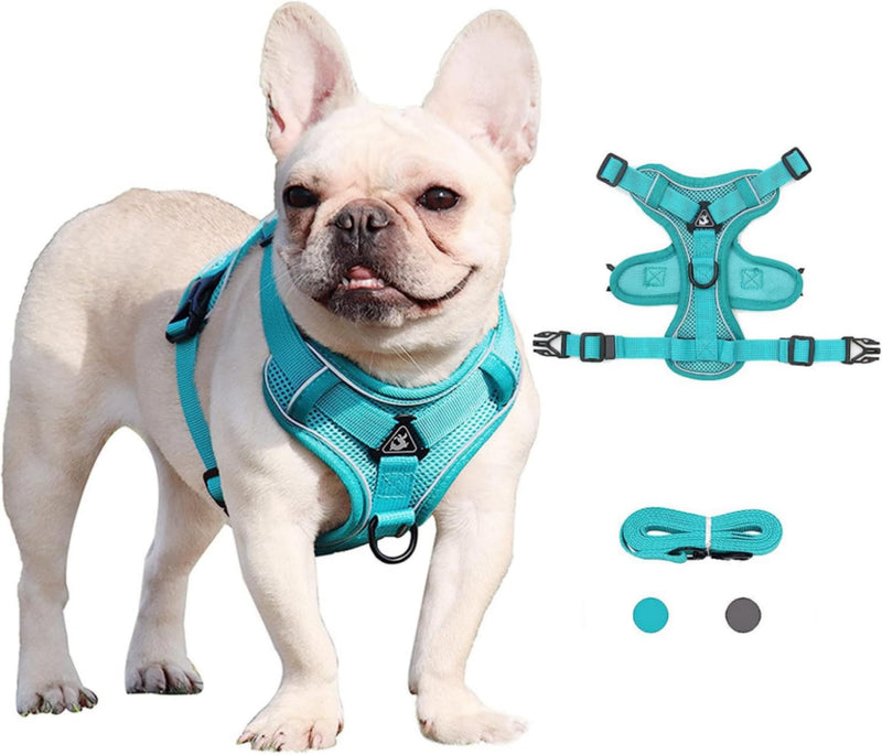 Puppy Harness,Cat Harness and Lead Set,No Pull Dog Cat Harness,Soft Mesh Breathable Reflective Puppy Cat Dog Vest Harnesses for Small Dogs Cats (Lake Blue, Small) Lake Blue - PawsPlanet Australia