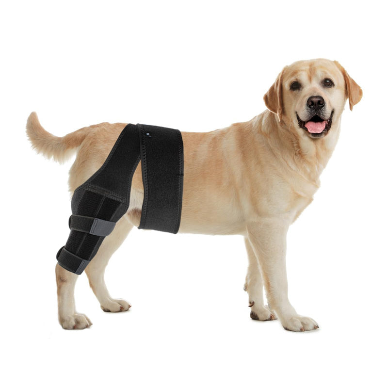 Dog Knee Brace, Acl Knee Brace for Dogs Hind Leg with Cruciate Ligament Injury,Joint Pain and Muscle Sore,Adjustable Dog Rear Leg Brace Support for Patella Dislocation,Pet Knee Brace (Medium) Medium - PawsPlanet Australia