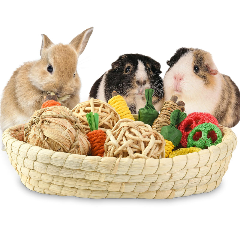 Rabbit Toys 13Pcs, Natural Hay Hamster Chew Toys for Teeth, Handmade Apple Wood Sticks Guinea Pig Bunny Toys 13PCS Set - PawsPlanet Australia