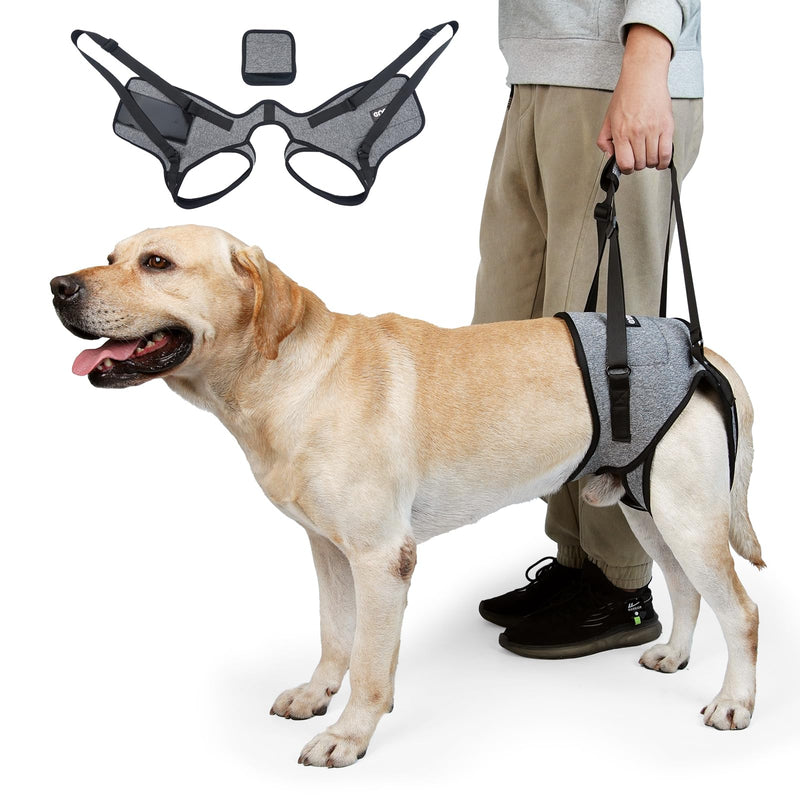 Dog Lift Harness, Dog Sling for Medium Large Dogs, Adjustable Dog Support Harness for Back Legs, Comfy Design Pet Harness with Padded for Elderly, Injured, Arthritic, Senior, Disabled Dogs XL - PawsPlanet Australia