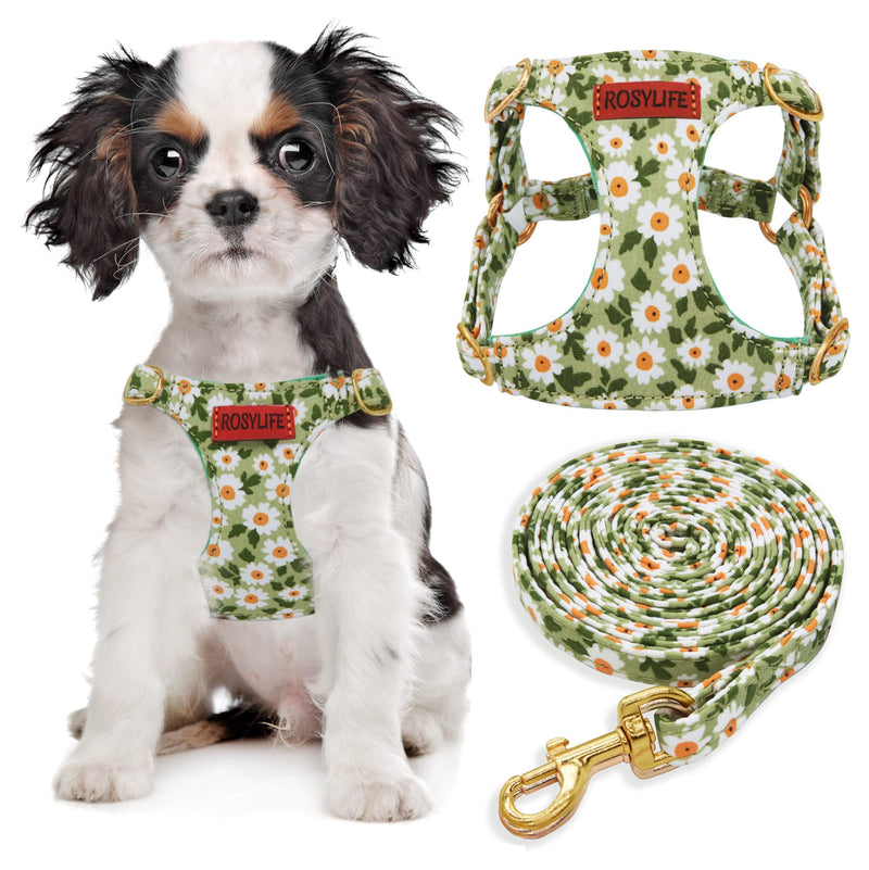 No Pull Dog Harness Adjustable Small pet Harness and Leash Set, Lightweight and Soft Dog Harness No Choke Escape Proof Pet Harness Vest (Green Daisy, XS) Green Daisy - PawsPlanet Australia