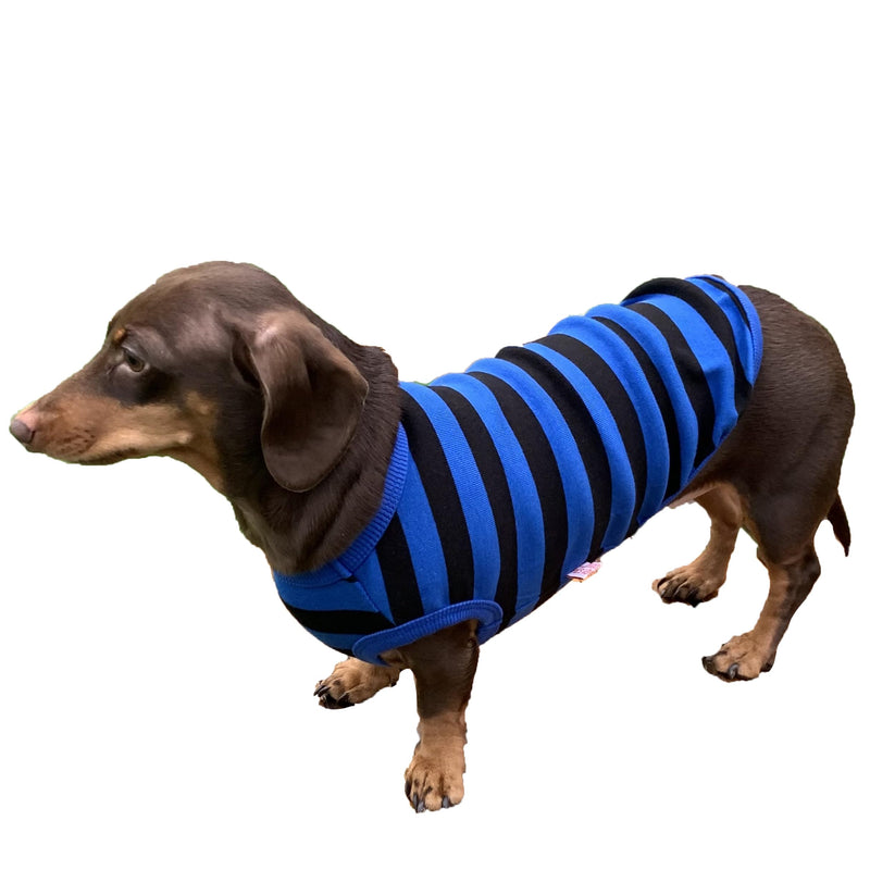 D Doggy Star Dachshund Clothes for Dogs Mini and Adults T Shirts (S,Stripe Blue/Black) 4 Season T Shirt S - Chest 16.14" Stripe Blue/Black - PawsPlanet Australia