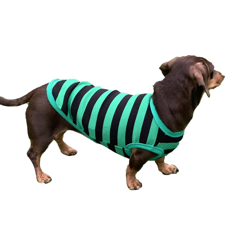 D Doggy Star Dachshund Clothes for Dogs Mini and Adults T Shirts (S,Stripe Green/Black) 4 Season T shirt S - Chest 16.14" Stripe Green/Black - PawsPlanet Australia