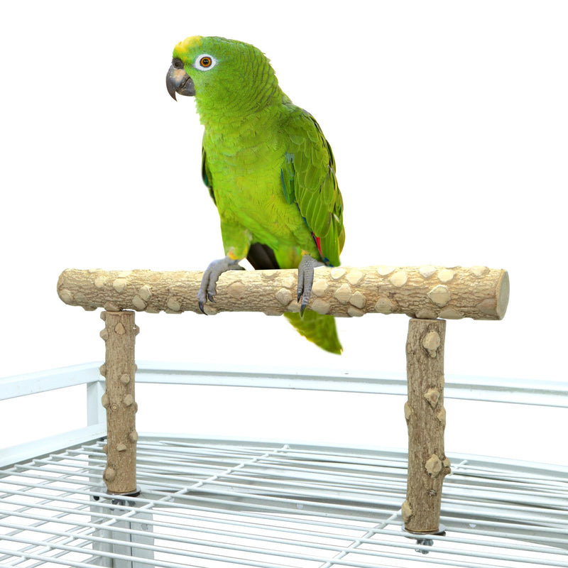 Bird Perch Stand, Bird Cage Top Perch Gym,Natural Wood Parrot Branch for Small Medium Large Parrot (M) M - PawsPlanet Australia