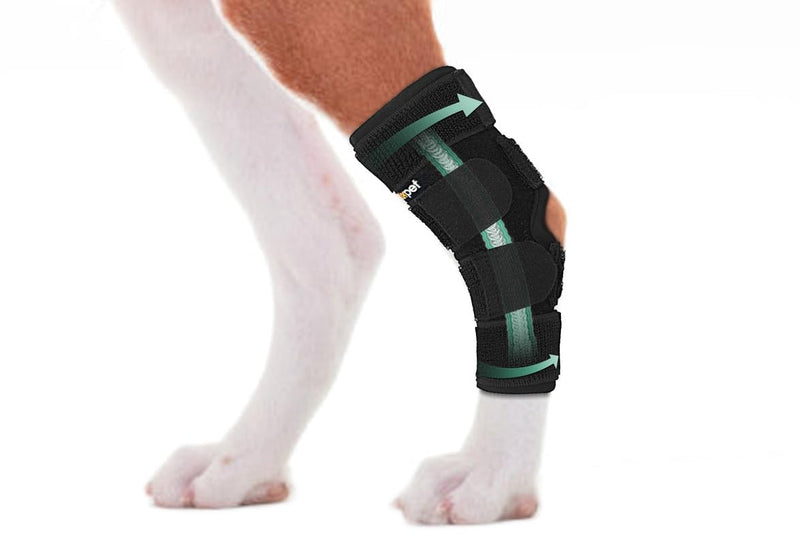 Dog Rear Leg Brace for Hock Joint, Compression Wrap Strong Support Back Leg for Canine Torn ACL & CCL, Injury and Sprain Protection, Keeps Stability for Wounds Care and Arthritis (XS) XS-Right - PawsPlanet Australia