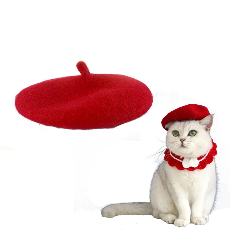 Wholesale Fashion Four Seasons Funny Customized Wool Pet Beret Hat with Accessories (red) red - PawsPlanet Australia